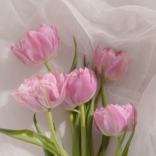 Embracing the Journey: A Refreshing Look at Motherhood This April